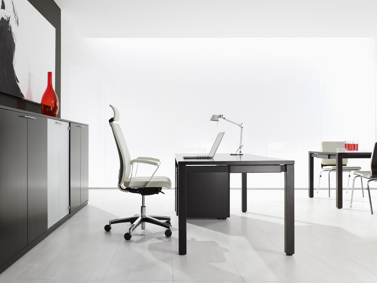 SQart Managerial — model